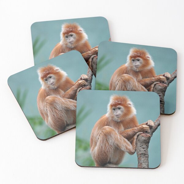 Item preview, Javan Langur deep golden color designed and sold by Your search is over, it’s here! .
