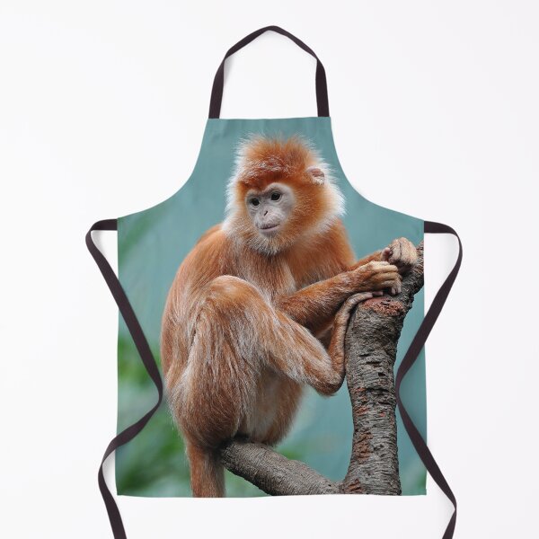 Item preview, Langur de Java de color dorado intenso designed and sold by Your search is over, it’s here! .
