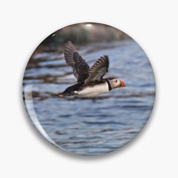 Item preview, Atlantic Puffin in Mid-Flight  Over Coastal Waters designed and sold by David Patterson.