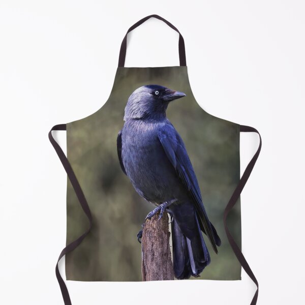 Item preview, Jackdaw designed and sold by Tom McPherson Photography.