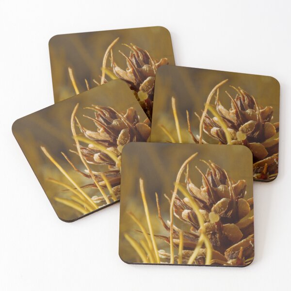 Item preview, Larch Cone Closeup designed and sold by winterlightart.