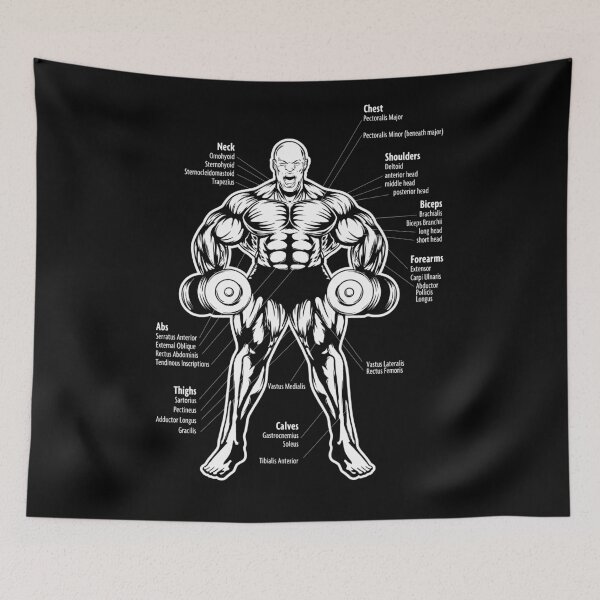Item preview, Ronnie Coleman, Anatomy Muscle Chart Diagram - Bodybuilding Motivation designed and sold by chantastical.