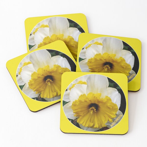 Item preview, Floral - Cornish King Daffodils- by Wagonesta  designed and sold by Wagonesta.