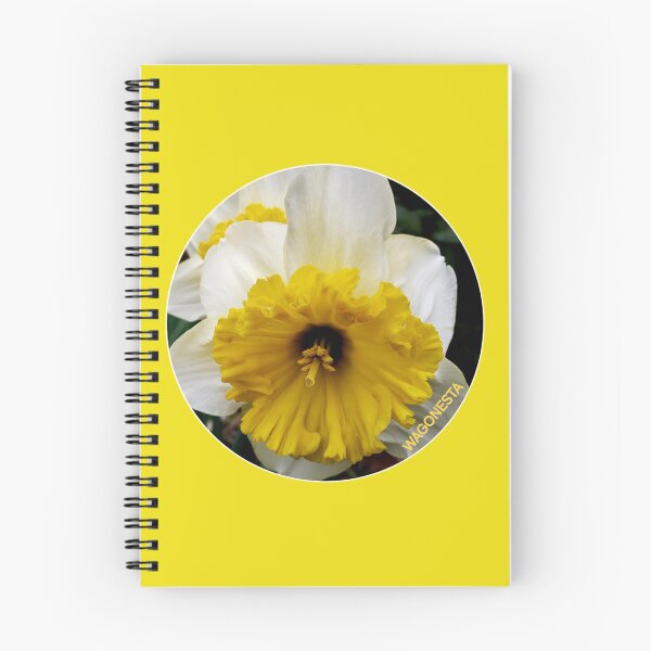 Item preview, Floral - Cornish King Daffodils- by Wagonesta  designed and sold by Wagonesta.