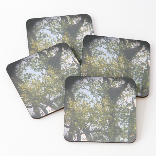 Item preview, Eagle nets & trees designed and sold by Jireh Prints .