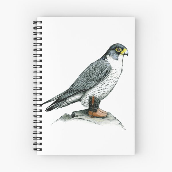 Item preview, Peregrine Falcon in Cowboy Boots designed and sold by JimsBirds.