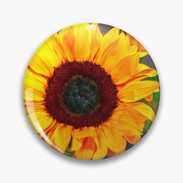 Item preview, Bogota, Colombia - Sunflower Closeup designed and sold by Mano Chandra Dhas.