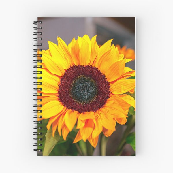 Item preview, Bogota, Colombia - Sunflower Closeup designed and sold by Mano Chandra Dhas.