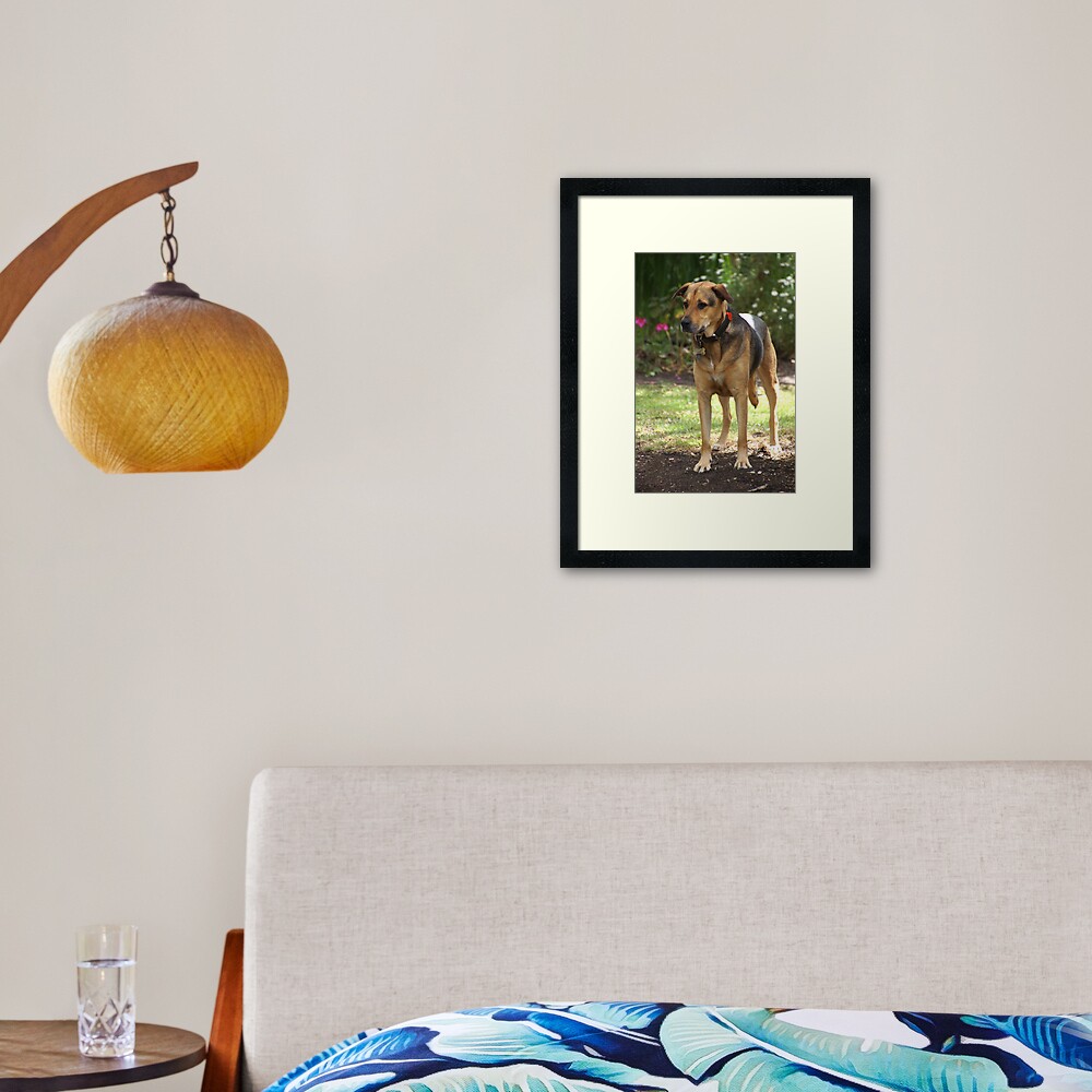 Item preview, Framed Art Print designed and sold by MagpieSprings.