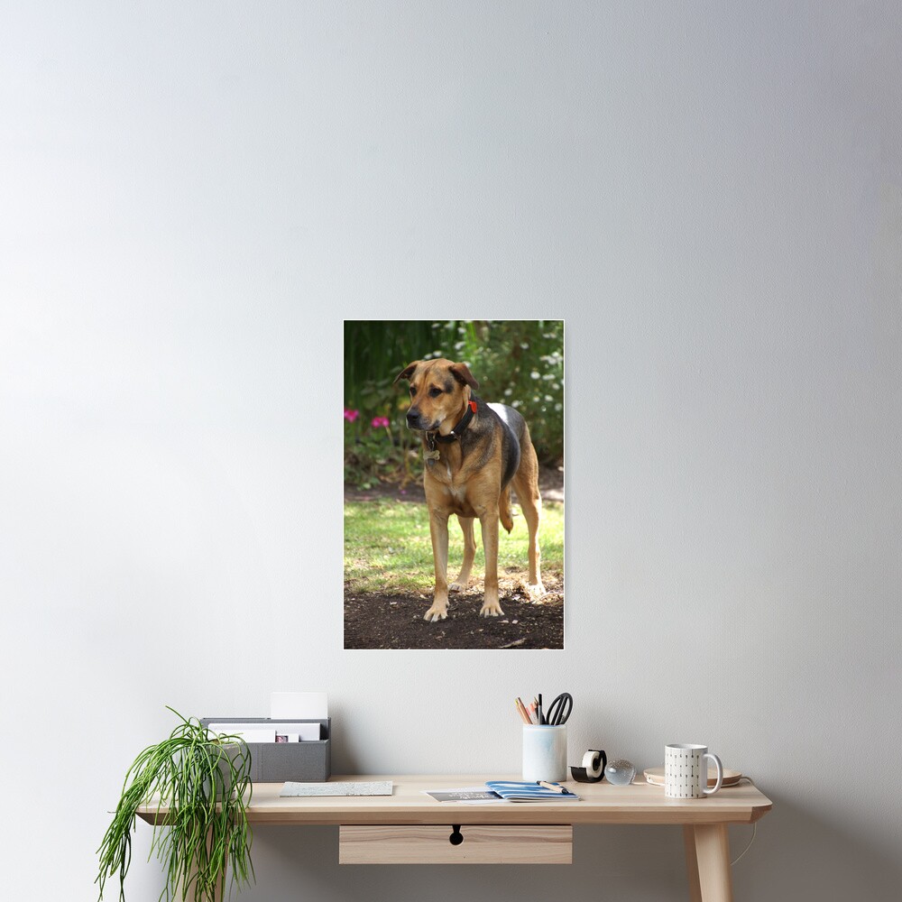 Item preview, Poster designed and sold by MagpieSprings.