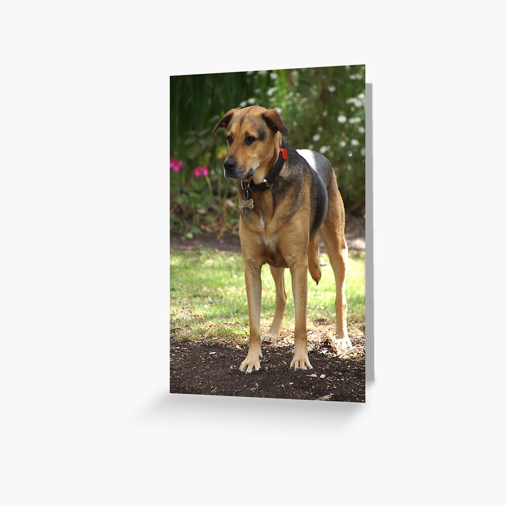 Item preview, Greeting Card designed and sold by MagpieSprings.
