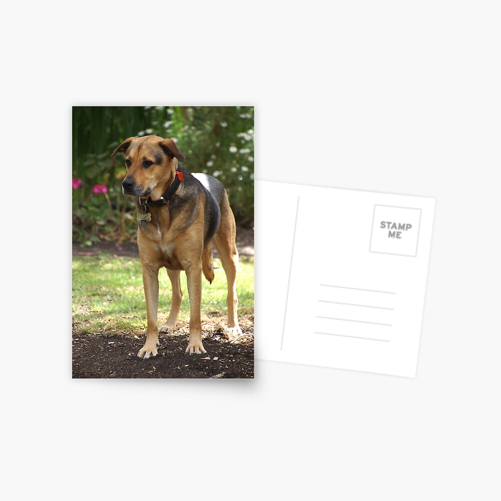 Item preview, Postcard designed and sold by MagpieSprings.