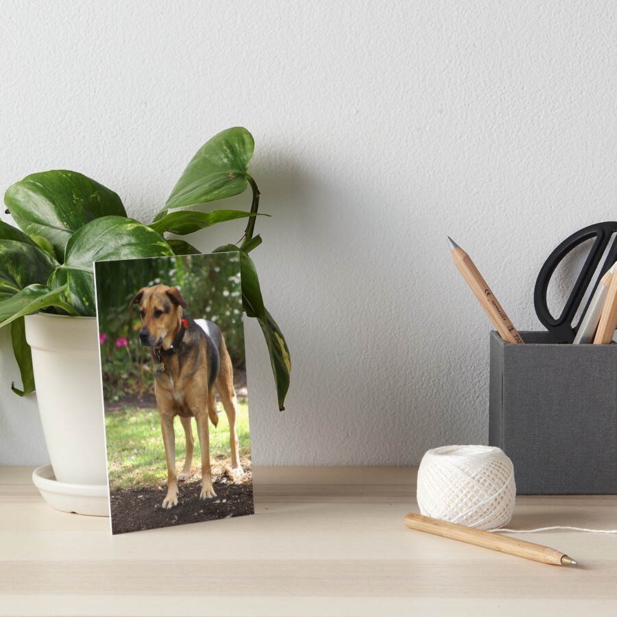 Item preview, Art Board Print designed and sold by MagpieSprings.