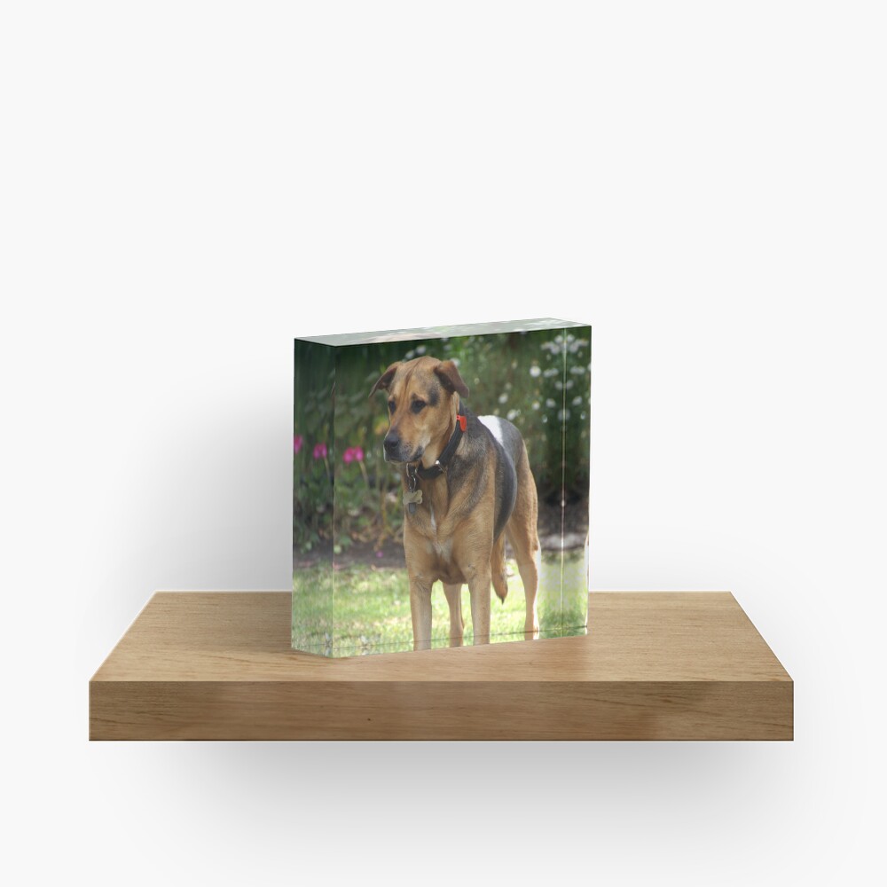 Item preview, Acrylic Block designed and sold by MagpieSprings.
