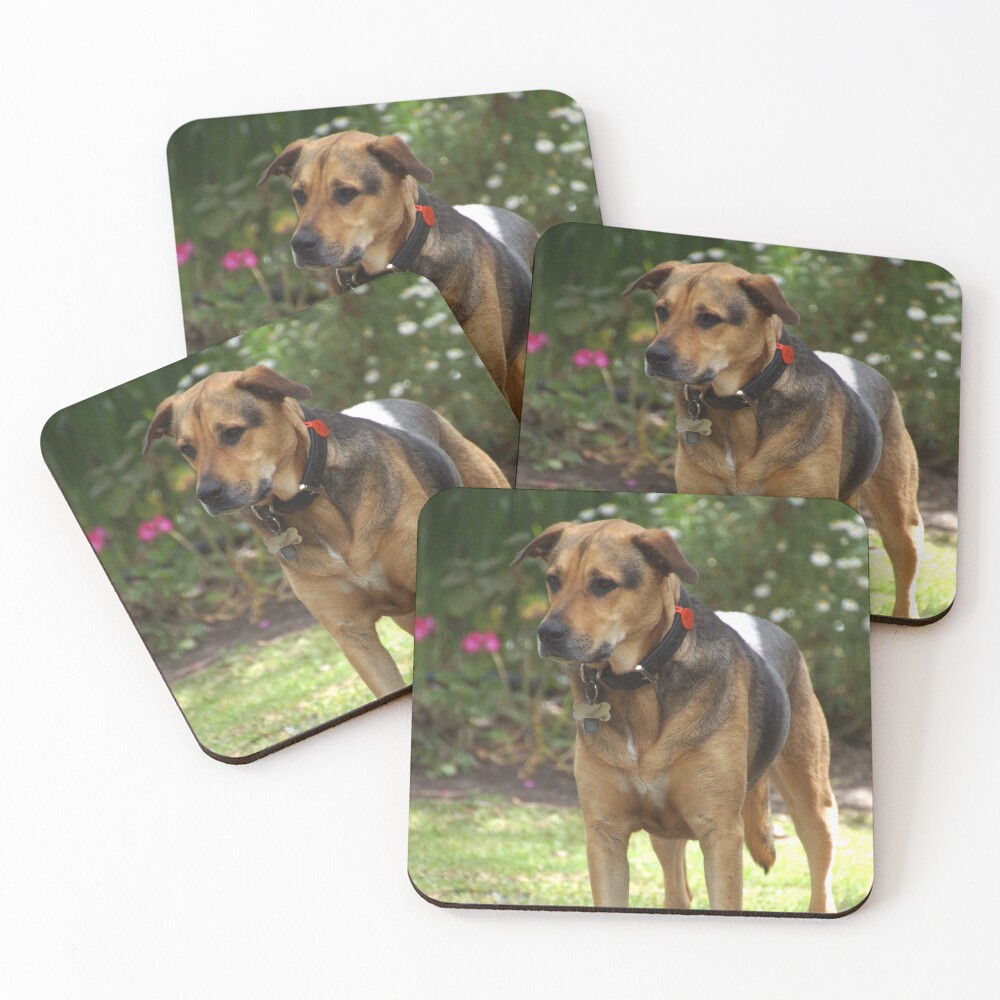 Item preview, Coasters (Set of 4) designed and sold by MagpieSprings.