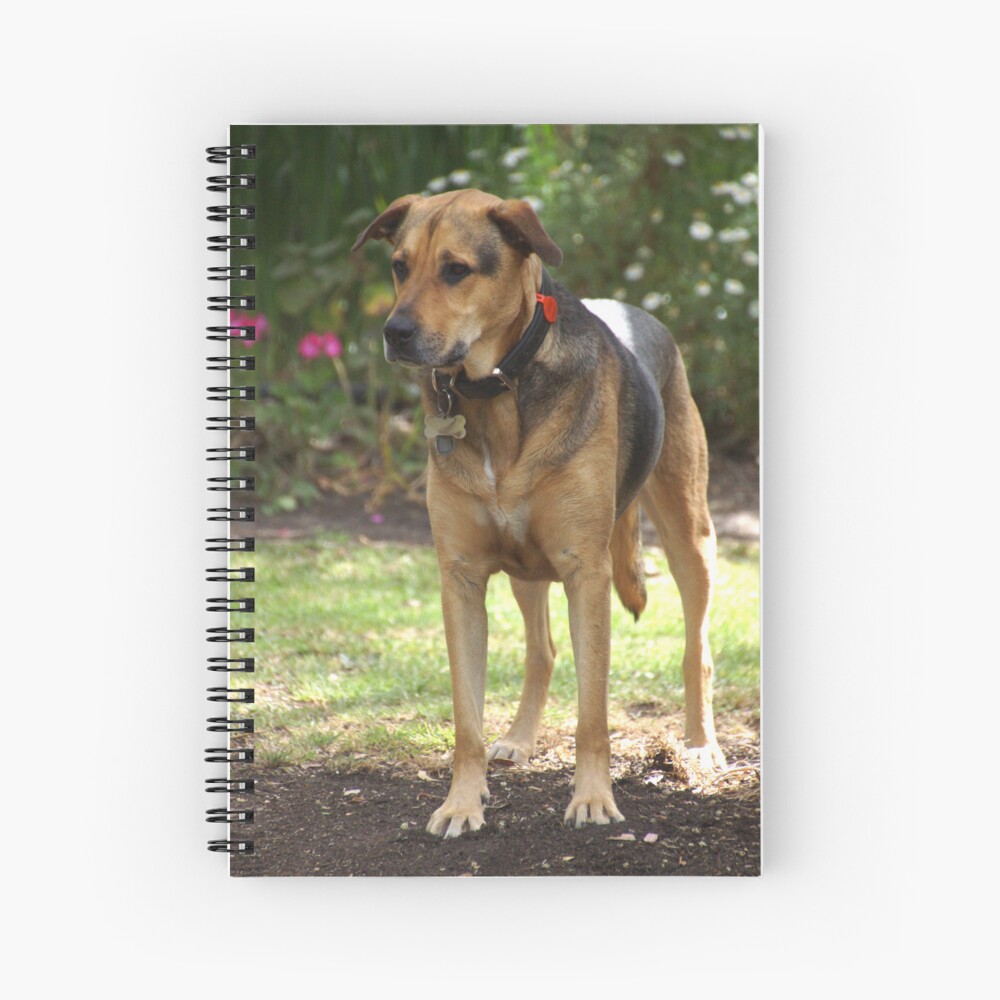 Item preview, Spiral Notebook designed and sold by MagpieSprings.