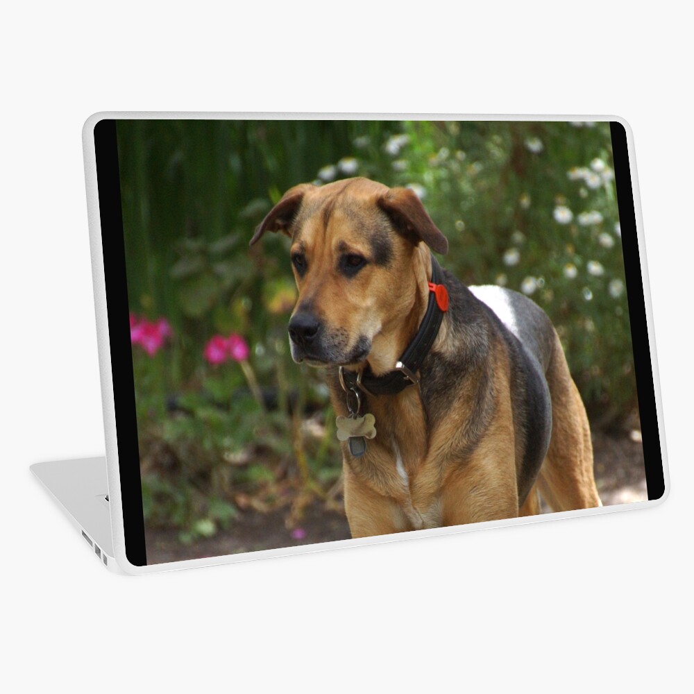 Item preview, Laptop Skin designed and sold by MagpieSprings.