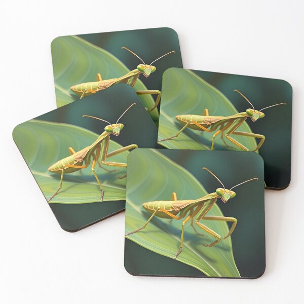 Item preview, Praying Mantis Oil Painting Style Wildlife Conservation designed and sold by kakarikihill.