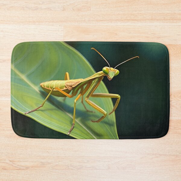 Item preview, Praying Mantis Oil Painting Style Wildlife Conservation designed and sold by kakarikihill.