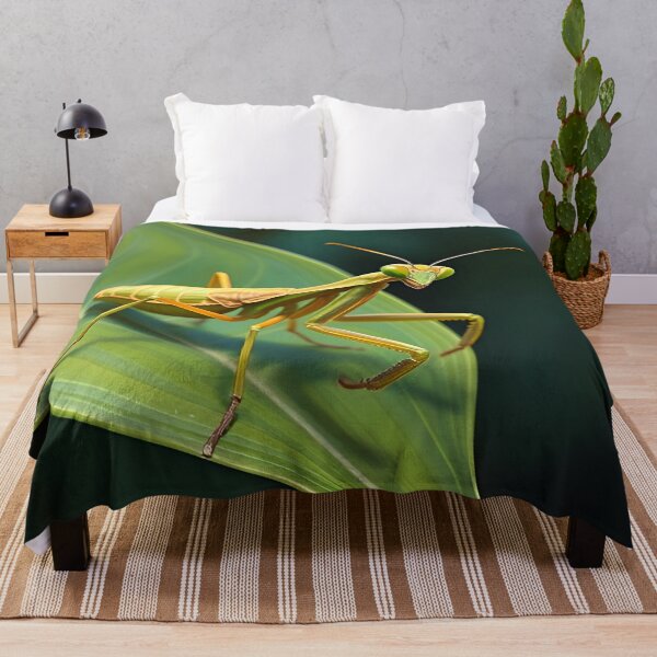 Item preview, Praying Mantis Oil Painting Style Wildlife Conservation designed and sold by kakarikihill.