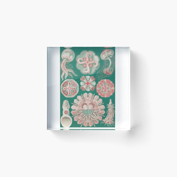 Item preview, Jellyfish Design designed and sold by MAB-Stickers.