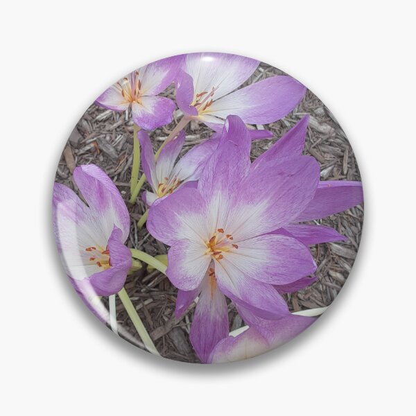 Item preview, Light Purple Colchicum or Autumn Crocus designed and sold by VelvetLunaMoth.