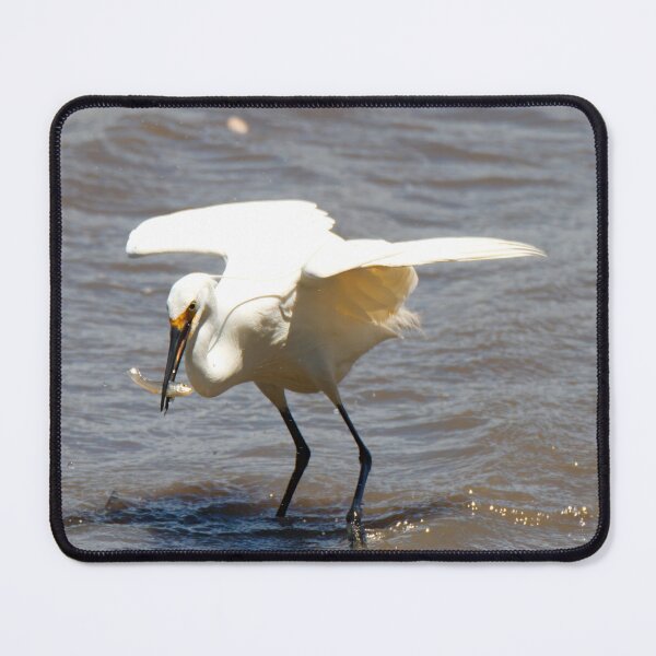 Item preview, Little Egret with a fish designed and sold by BirdsAlive.