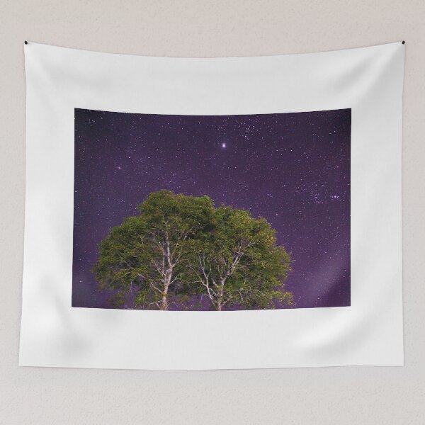 Item preview, 2 Trees against the Stars designed and sold by PitakChai93.