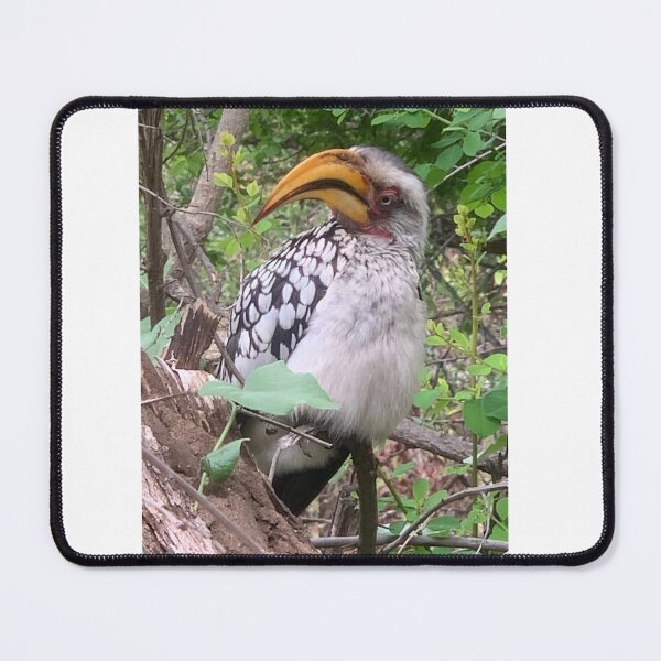 Item preview, Hornbill designed and sold by Mojaniart.