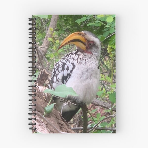 Item preview, Hornbill designed and sold by Mojaniart.
