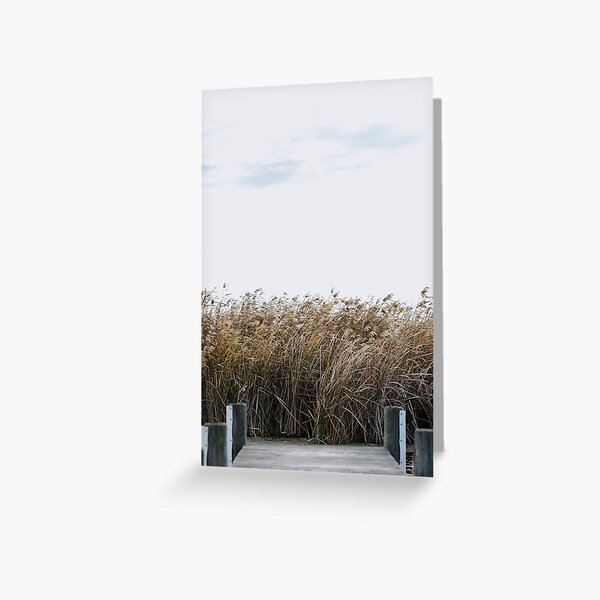 Item preview, River Finniss | 8281 designed and sold by Tash Mohring.