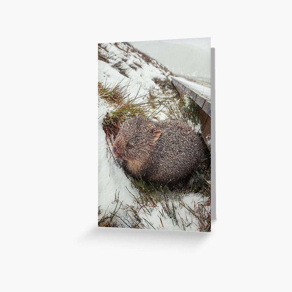 Item preview, Greeting Card designed and sold by Chockstone.