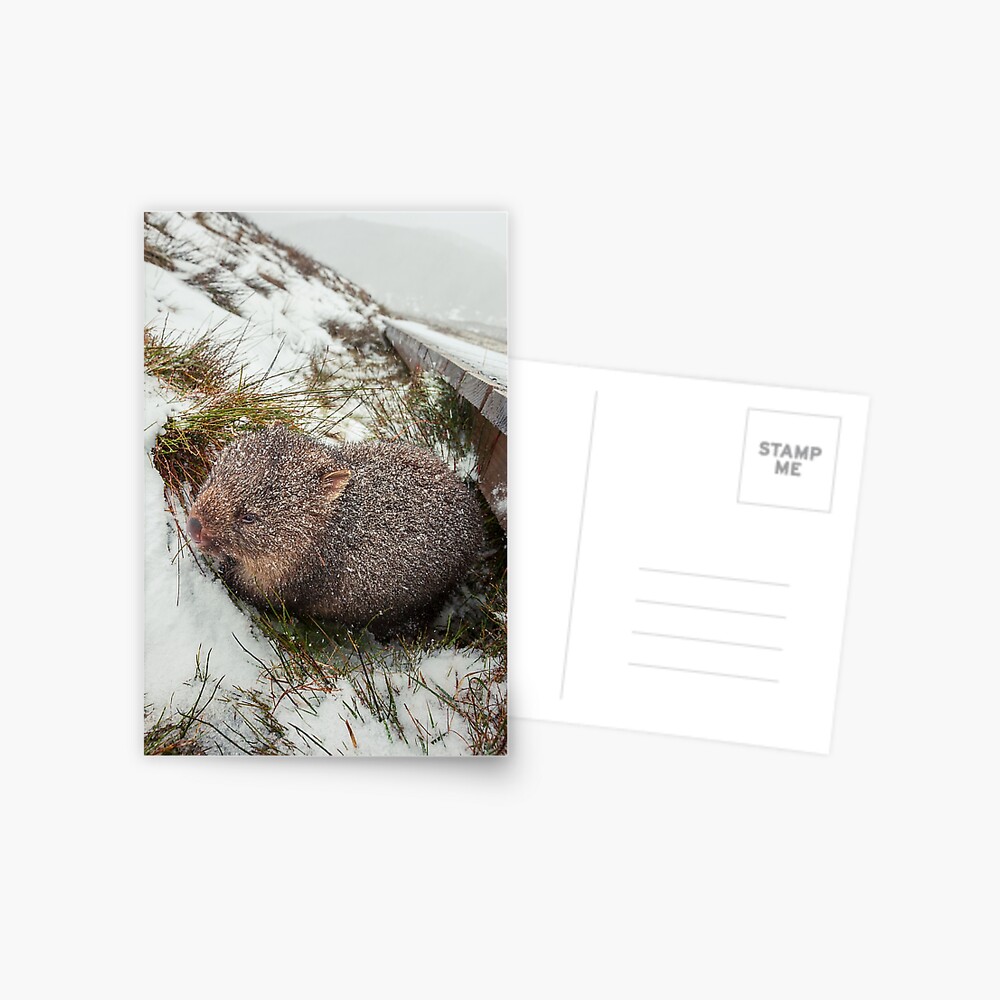 Item preview, Postcard designed and sold by Chockstone.
