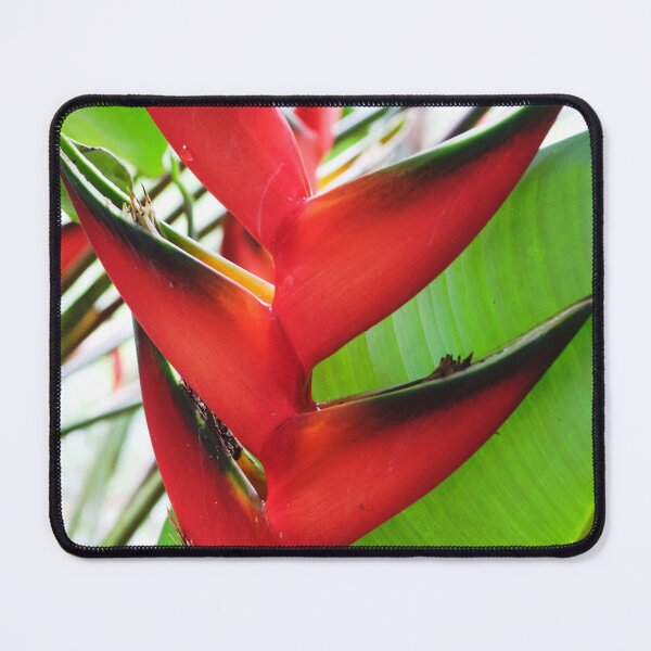 Item preview, Red Flower designed and sold by Susan Rice.