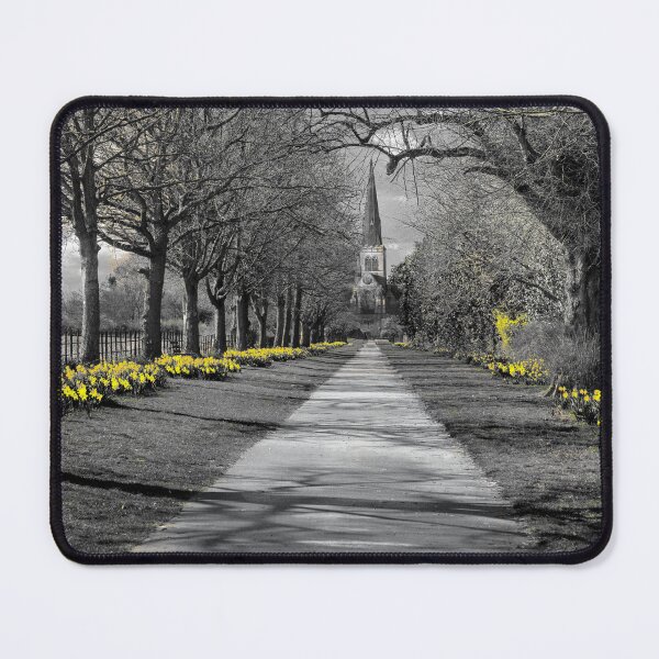 Item preview, English Daffodils designed and sold by Alisonchambers2.