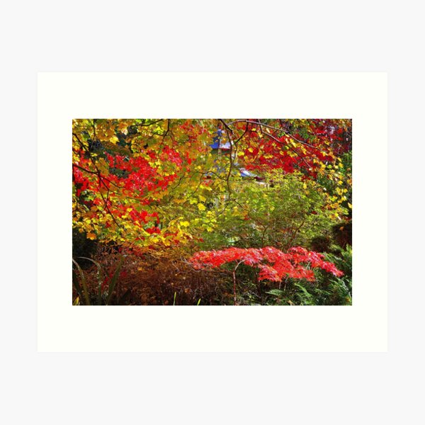Item preview, 1801 Mt Macedon garden designed and sold by Hans Kawitzki.