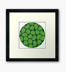 Influenza Virus Framed Print