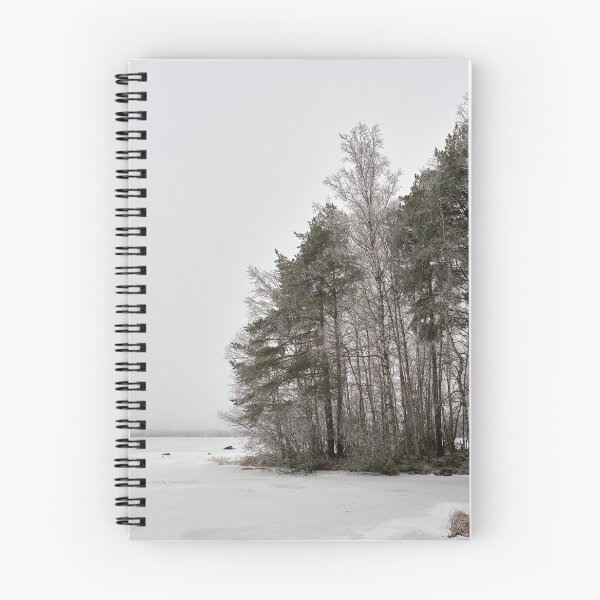 Item preview, Lakeview. Pyhajarvi winter 2025 1 designed and sold by Jouko Lehto Photography.