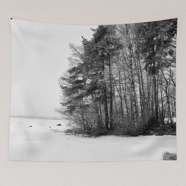 Item preview, Lakeview. Pyhajarvi winter 2025 1 bw designed and sold by Jouko Lehto Photography.