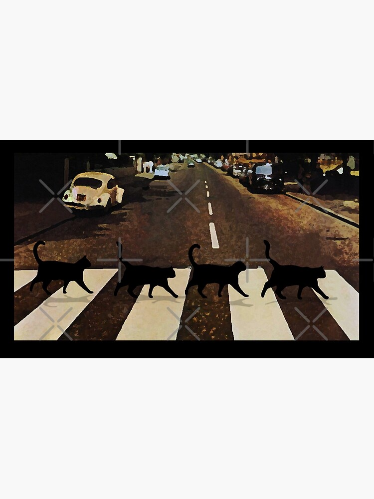 4 NINJA CATS by Coldwash