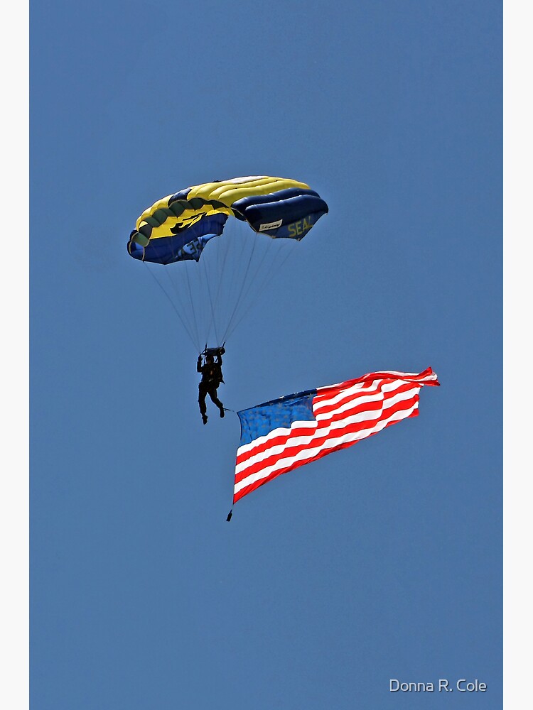 Parachuting with the Flag by alwaysdrc