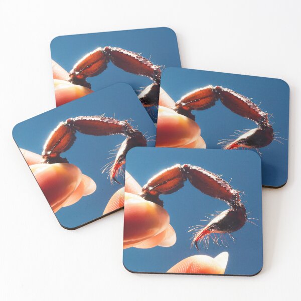 Item preview, Cowards designed and sold by Carolyn-elliott.
