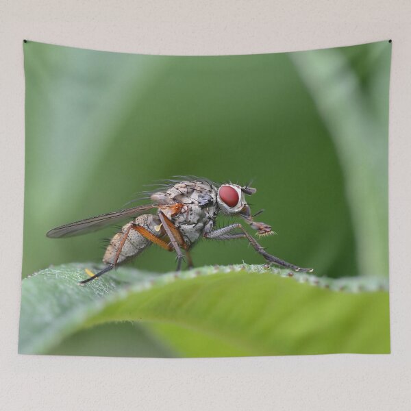 Item preview, Fly macro designed and sold by relayer51.