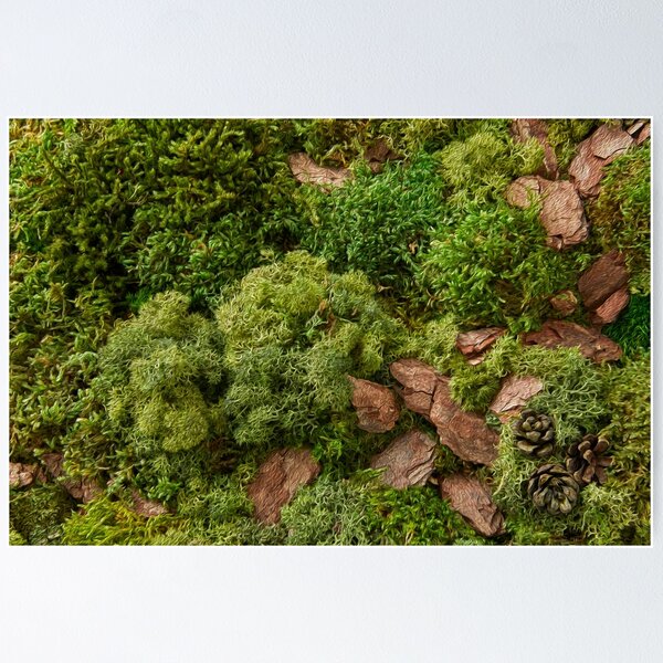 Item preview, Vertical Garden Oil Painting Art – Nature Inspired Botanical Art Print designed and sold by Flowerbox Studio.