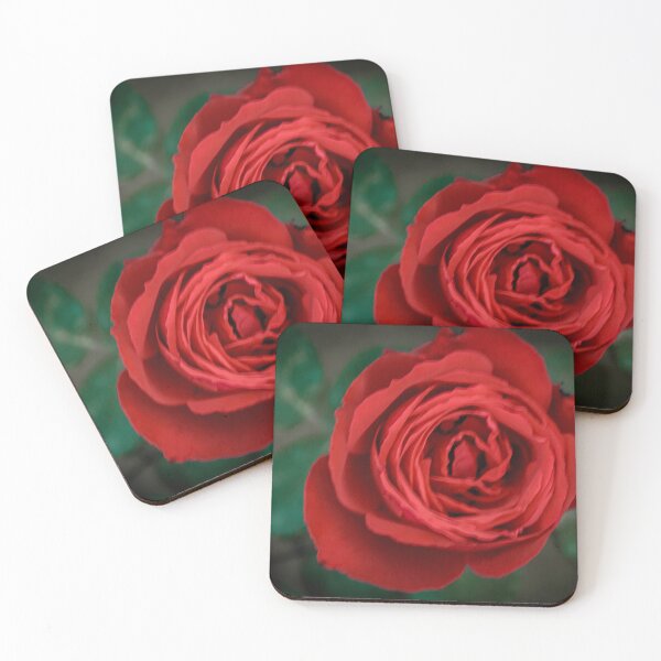 Item preview, Red rose 3 designed and sold by YarekPhoto.