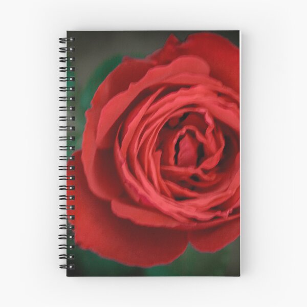 Item preview, Red rose 3 designed and sold by YarekPhoto.