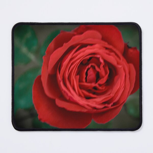 Item preview, Red rose 3 designed and sold by YarekPhoto.