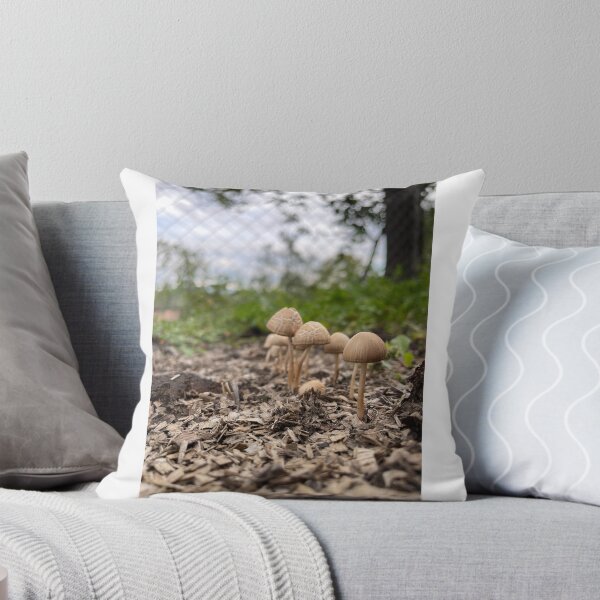 Item preview, Familia de los hongos designed and sold by roxxxxxx.