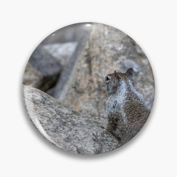Item preview, California Ground Squirrel on Granite Rocks, Yosemite 1 designed and sold by jrtwynam.