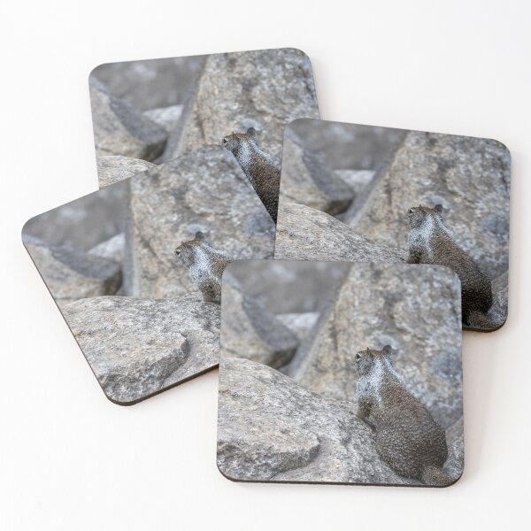 Item preview, California Ground Squirrel on Granite Rocks, Yosemite 1 designed and sold by jrtwynam.